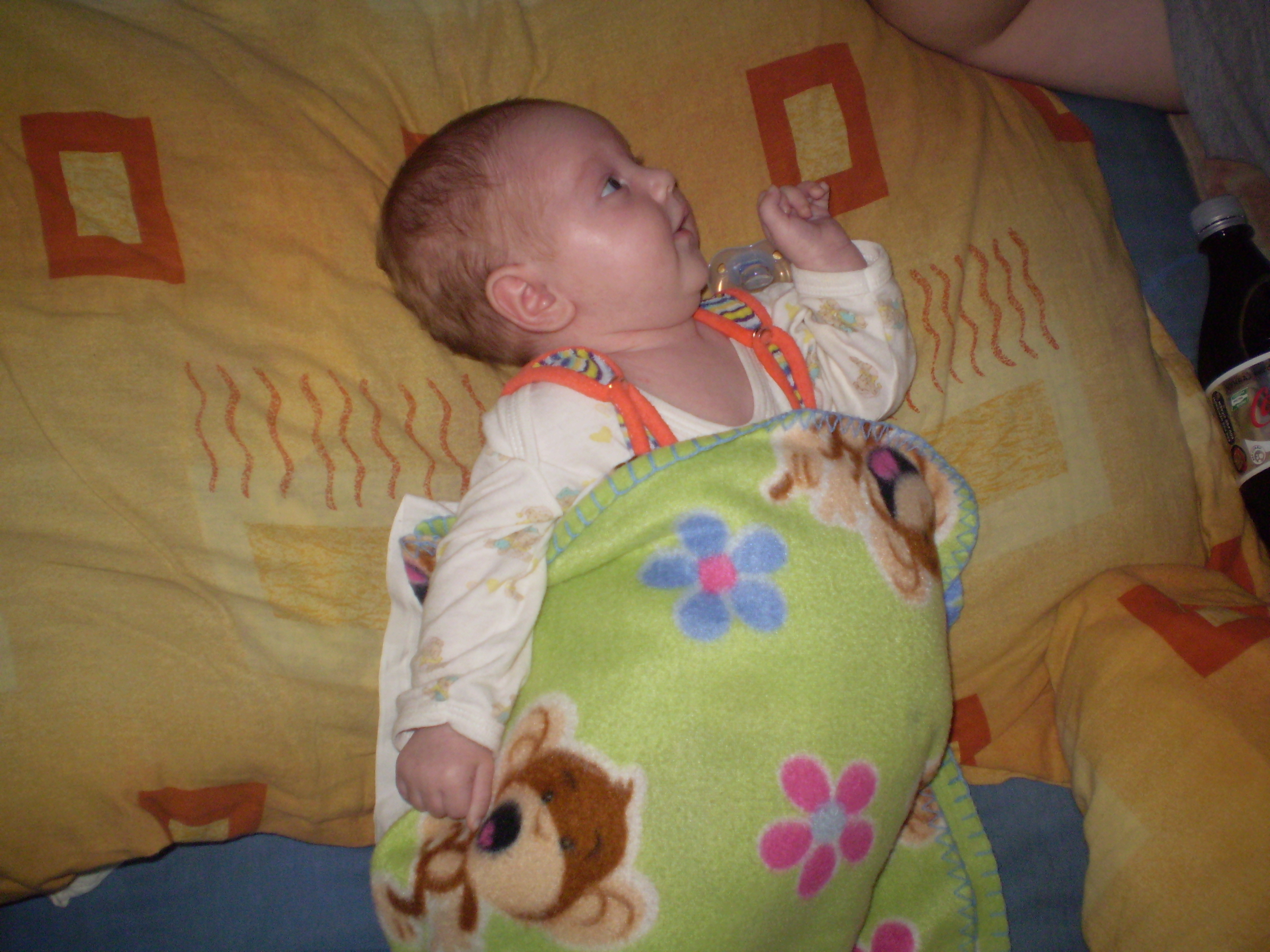PA070065.JPG