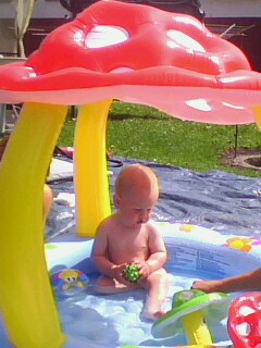 IMG0062A.jpg