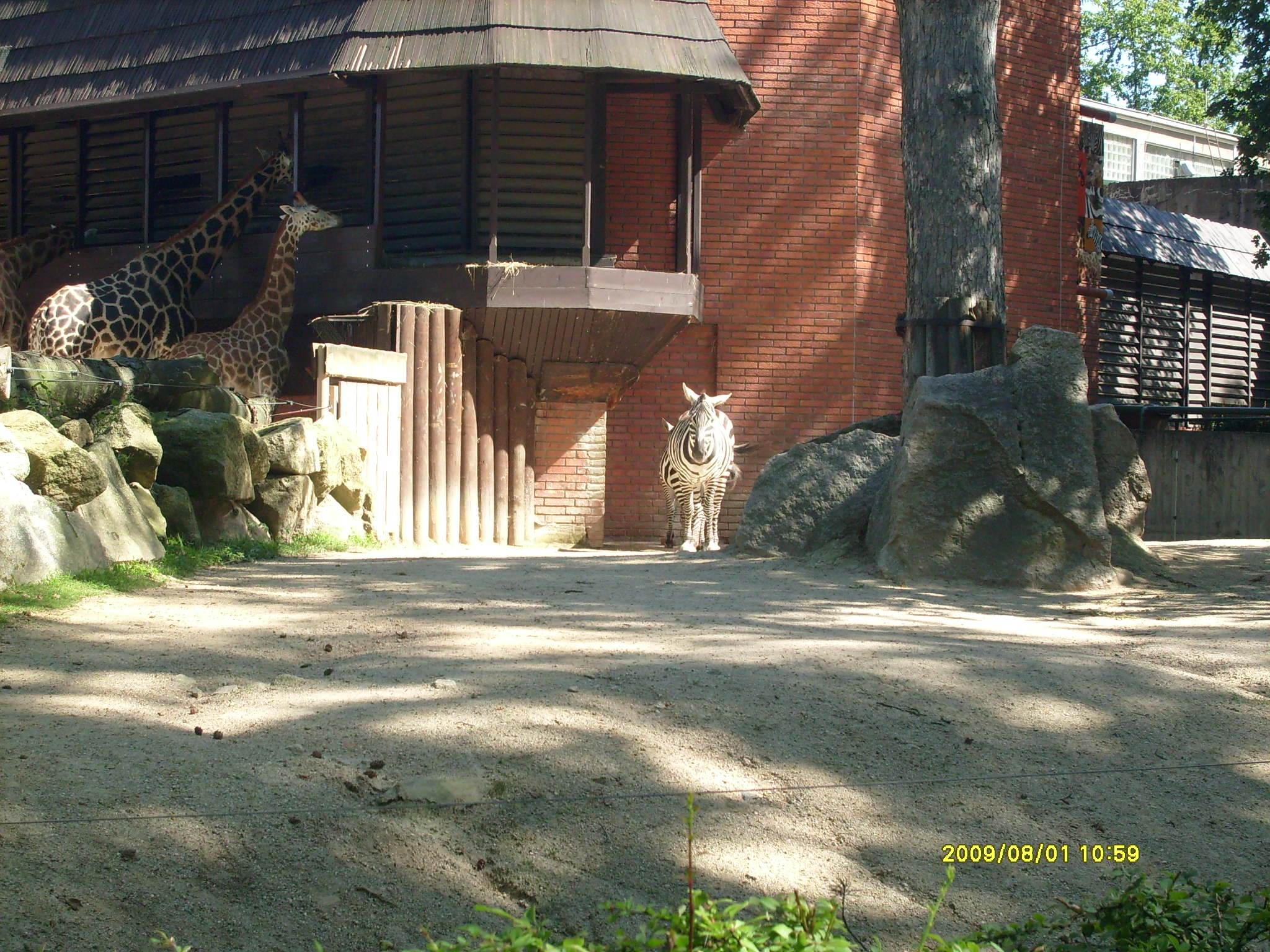 S7301761.JPG